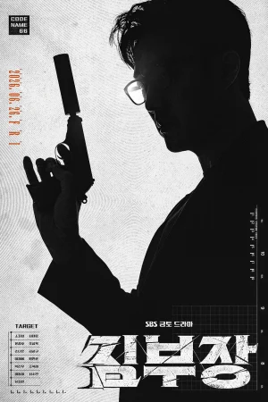 Đặc Vụ Kim Tái Khởi Động - Agent Kim Reactivated