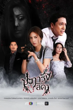 San hô đen - Black Coral