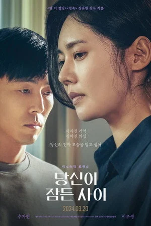 Sự Thật Sau Giấc Ngủ - While You Were Sleeping